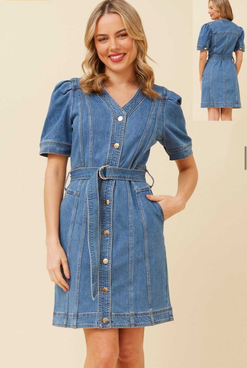 DIANA MIDI DENIM DRESS